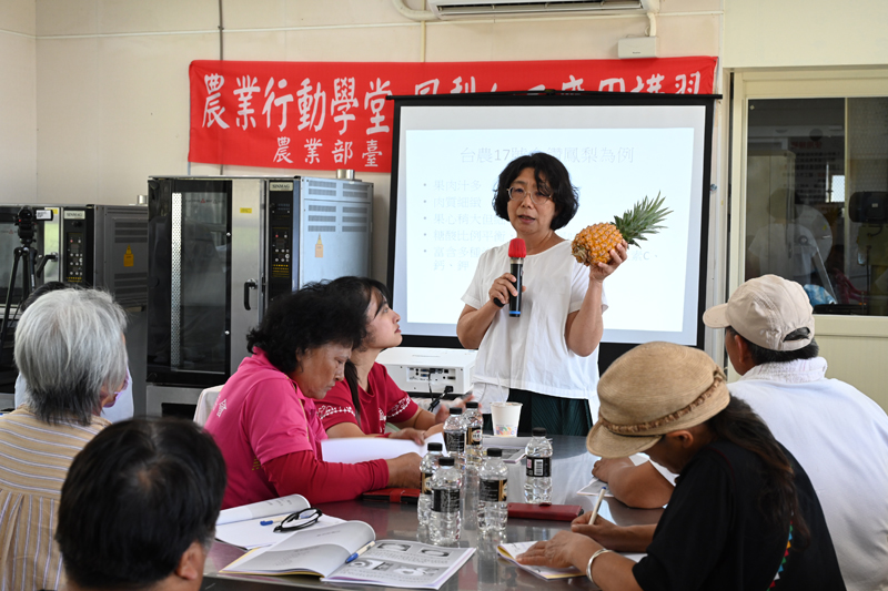 國立嘉義大學馮淑慧講師簡介鳳梨加工