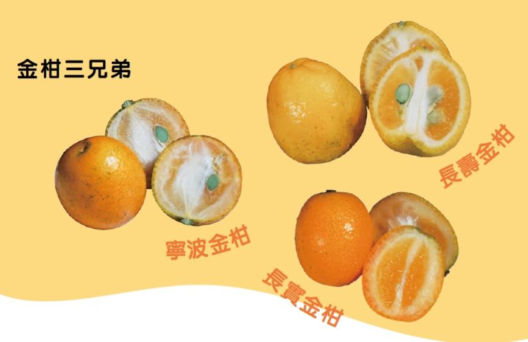 金柑三兄弟