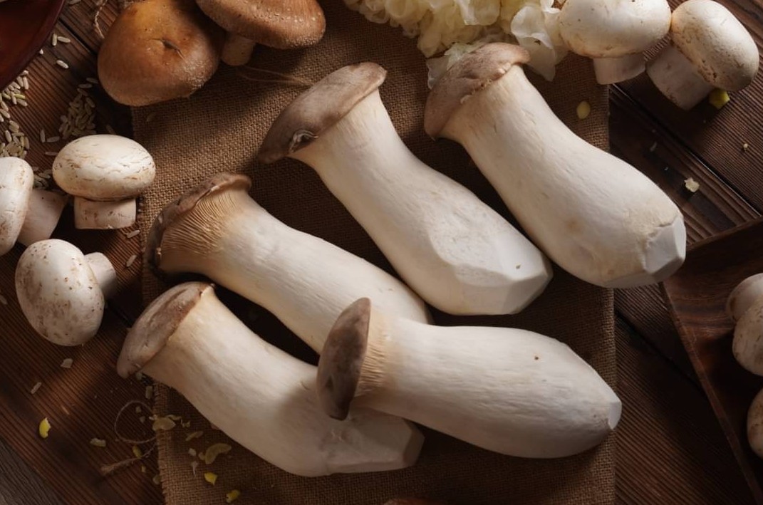 杏鮑菇A級150元/包