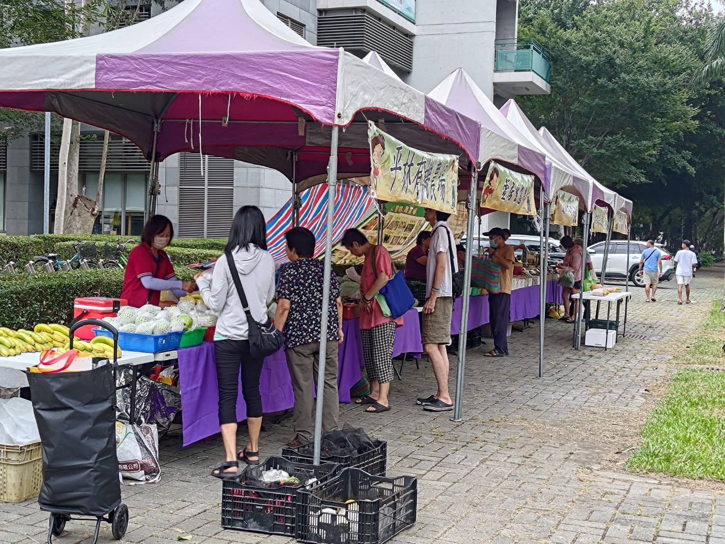 MIT興大驗證農產品市集（圖／引用自官方FB）