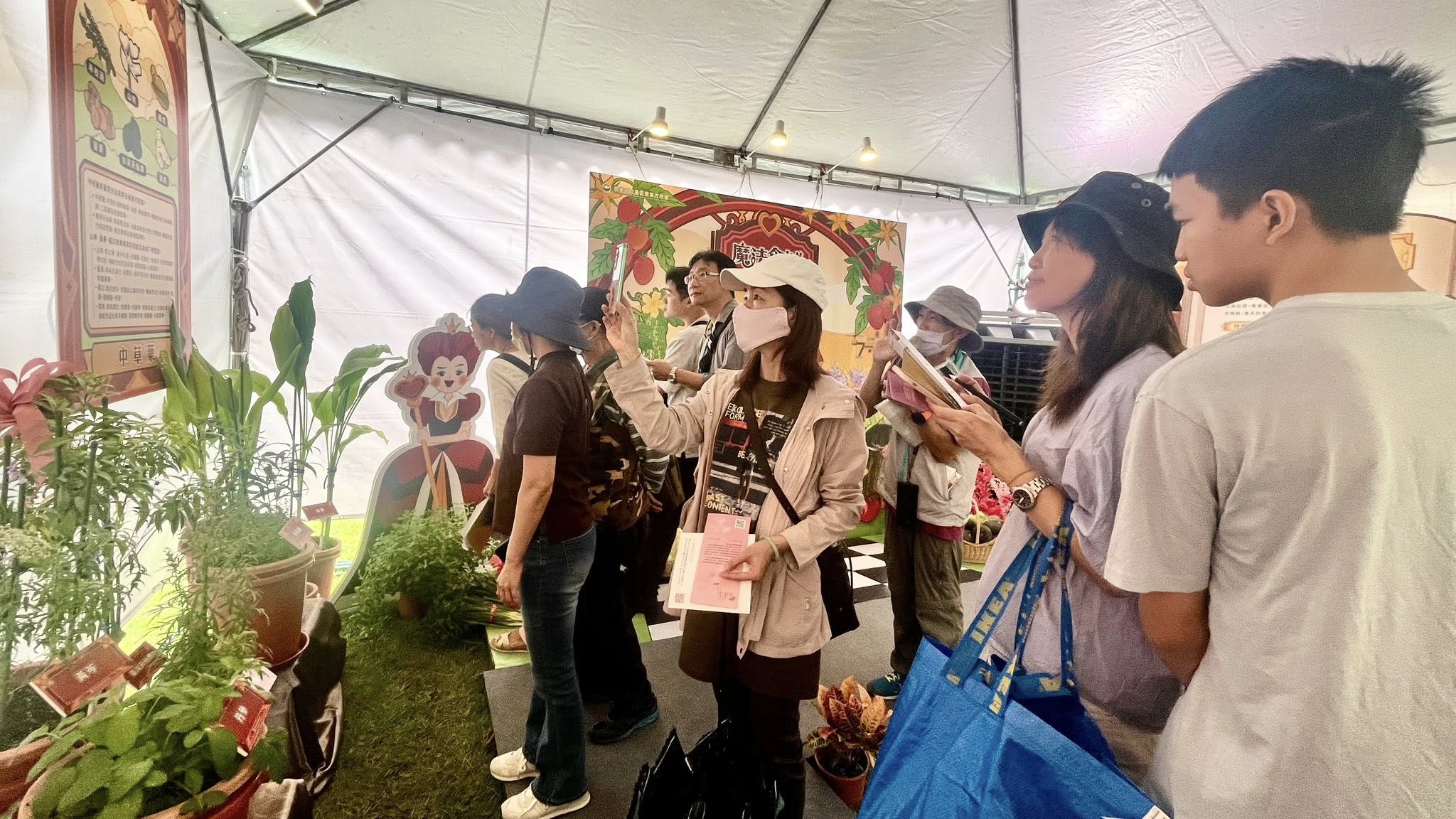 大家在刊版前，仔細地查看作物相關資料