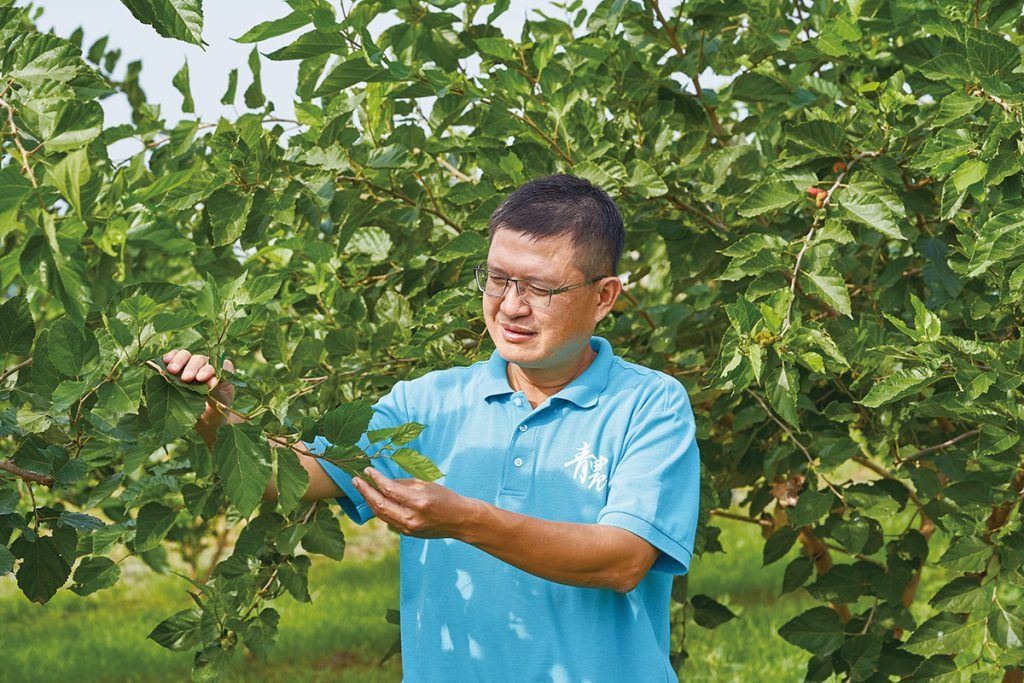 生鮮農產品保存期限短，加工可延長保質期，同時提高附加價值。