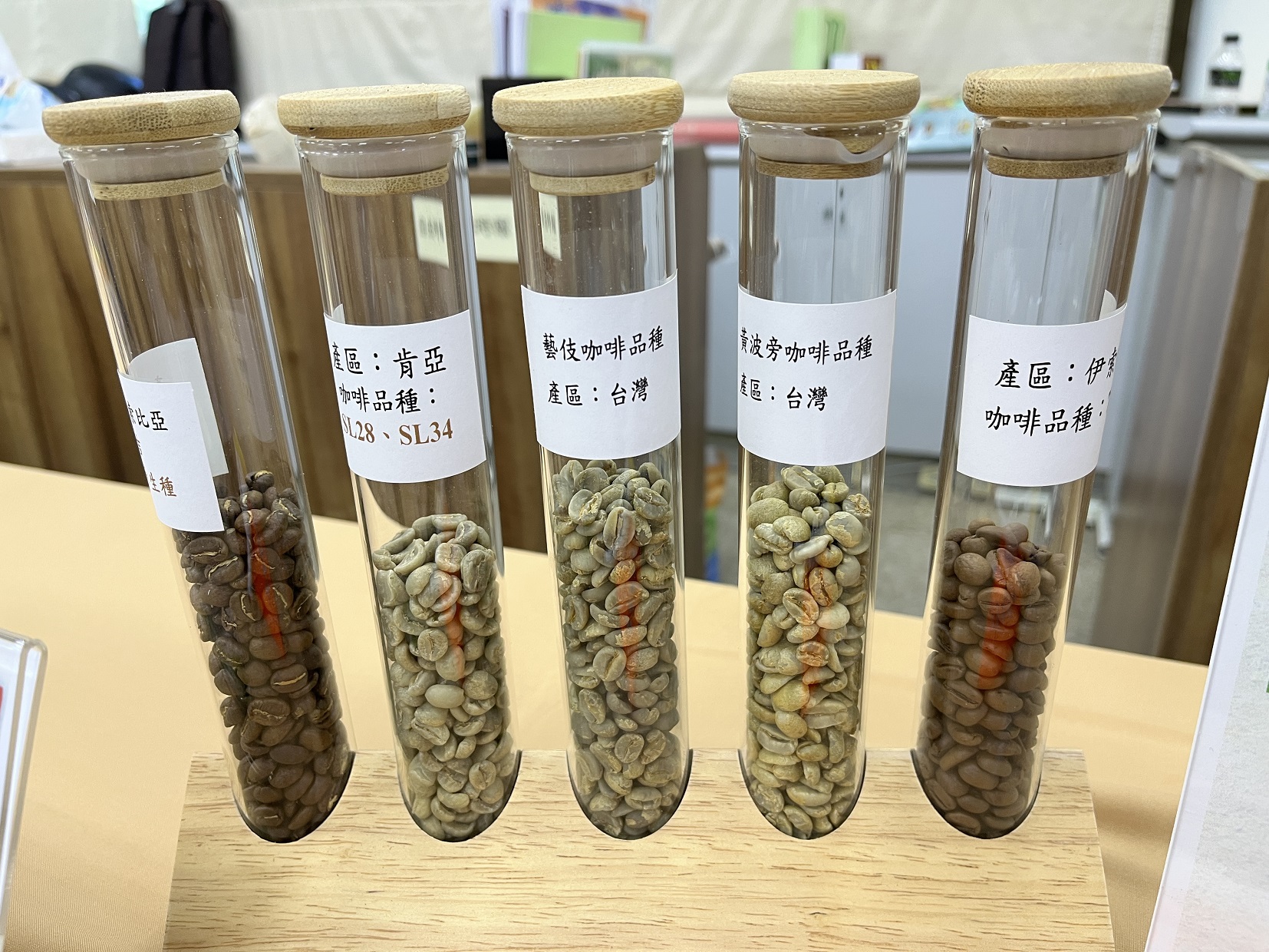 臺灣高海拔咖啡豆已具國際精品豆水準，但中低海拔咖啡豆則有先天風味限制。（攝影／游昇俯）